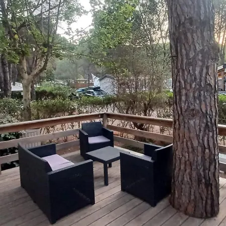 La Baume La Palmeraie Camping Resort Chalet