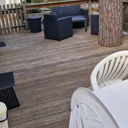 La Baume La Palmeraie Camping Resort Frejus